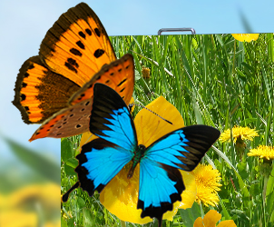 钱柜QG777小间距LED显示屏的魅力所在