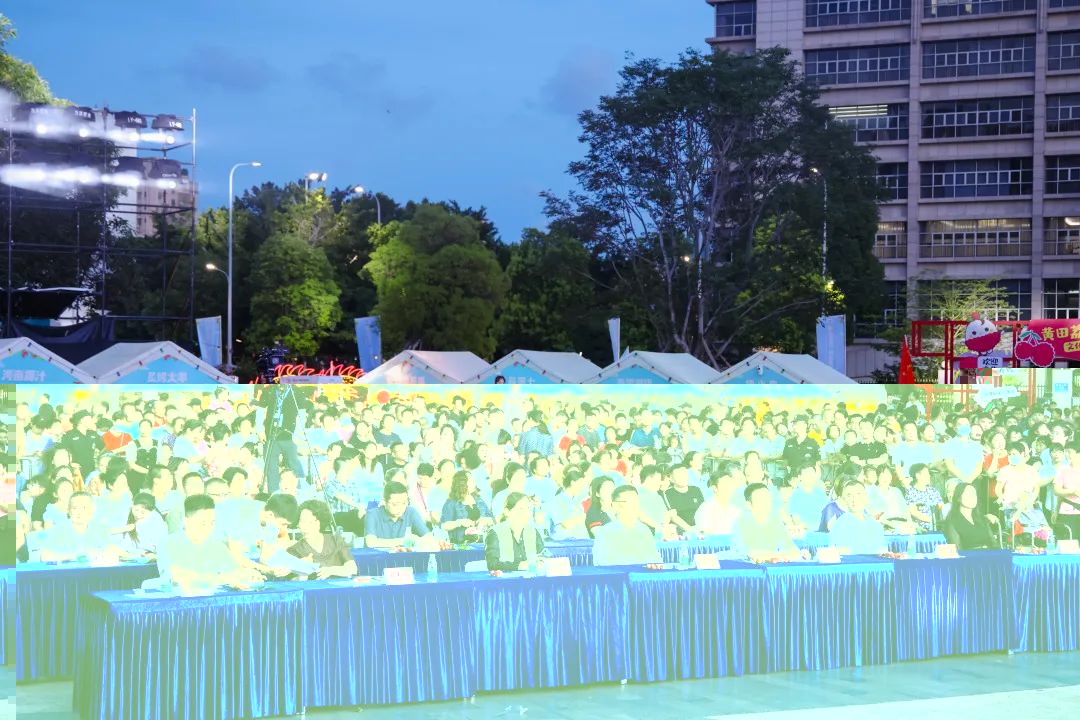 宝安区领导一行