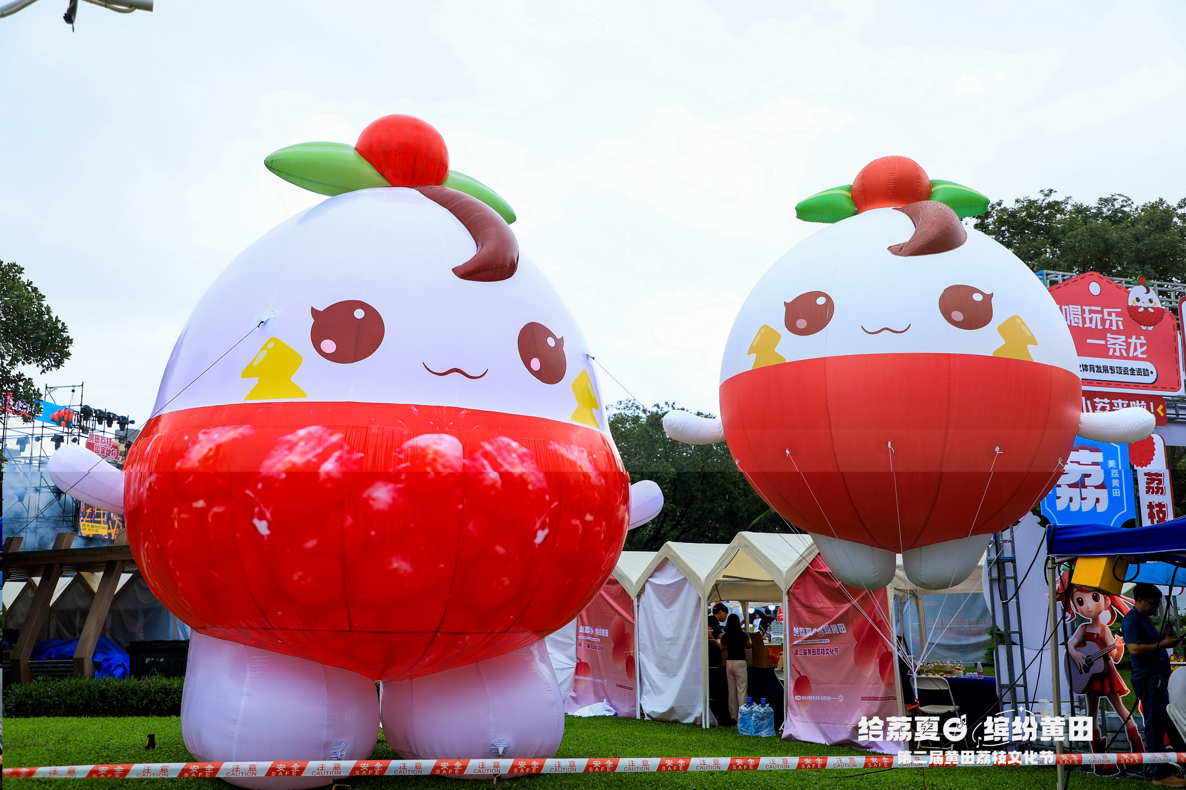 黄田荔枝IP黄小荔