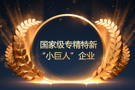 喜报 | 钱柜QG777通过国家级专精特新“小巨人”企业复审 